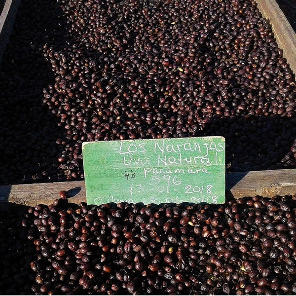 El Salvador Los Naranjos