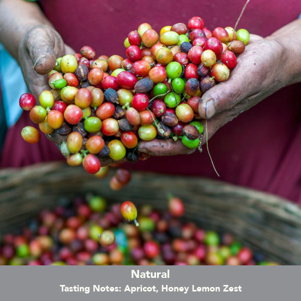 Panama La Huella